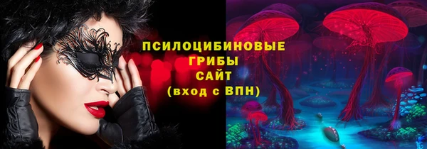 ПСИЛОЦИБИНОВЫЕ ГРИБЫ Богданович