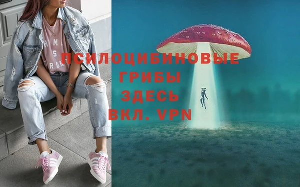 MDMA Нефтекумск