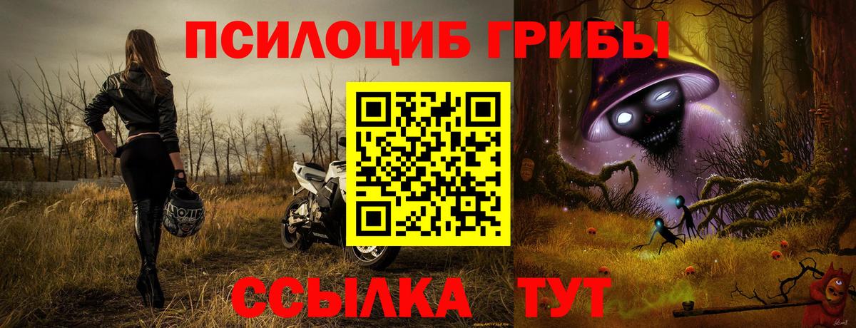 Ставрополь  Галлюциногенные грибы Magic Shrooms  Вход с VPN  как найти закладки  Галлюциногенные грибы мухоморы 