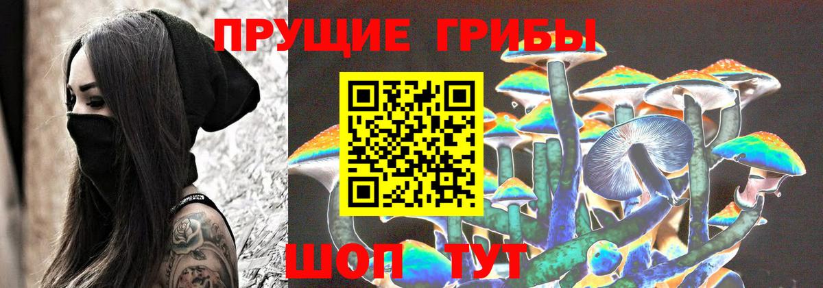 Галлюциногенные грибы Cubensis  Ставрополь 