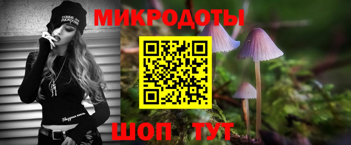 Псилоцибиновые грибы Psilocybine cubensis Ставрополь