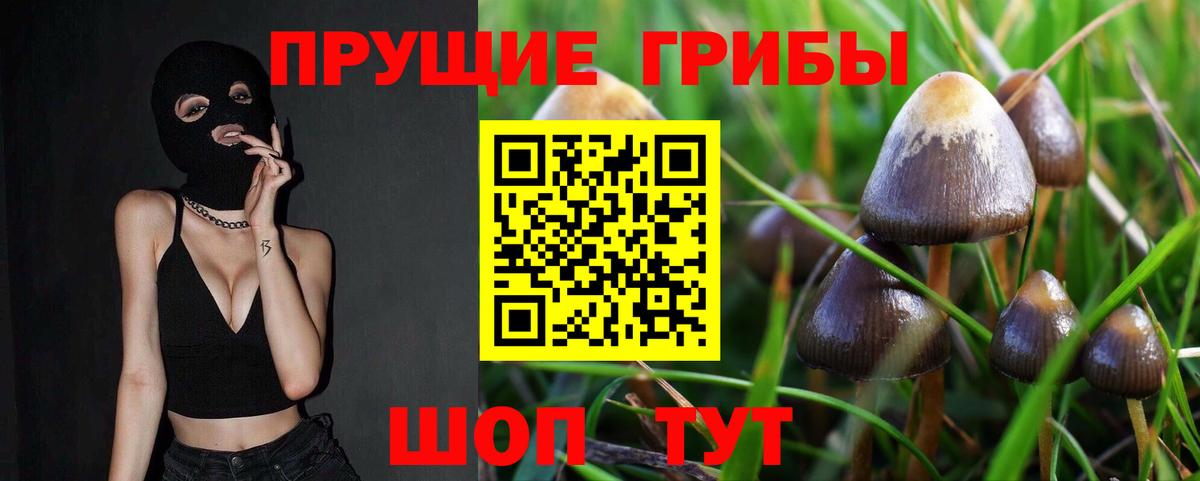 Галлюциногенные грибы мицелий Ставрополь