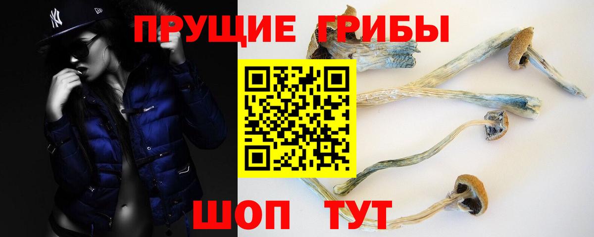 ГАШ Ставрополь