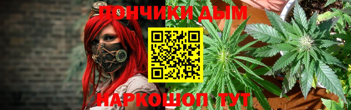 Конопля Bruce Banner  Бошки Шишки Bruce Banner  Ставрополь  МАРИХУАНА OG Kush  Конопля планчик 